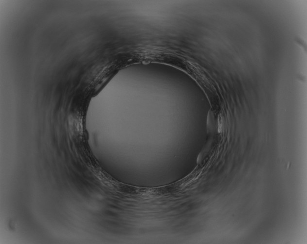 X0000091541155200709071057