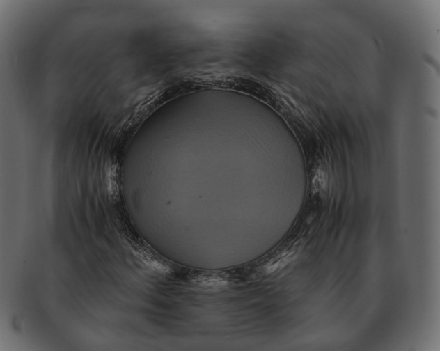 X0000091541156200709071057