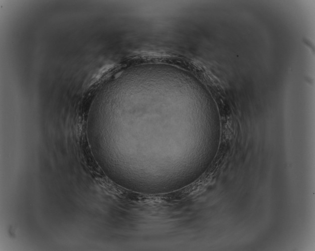 X0000091541157200709071057