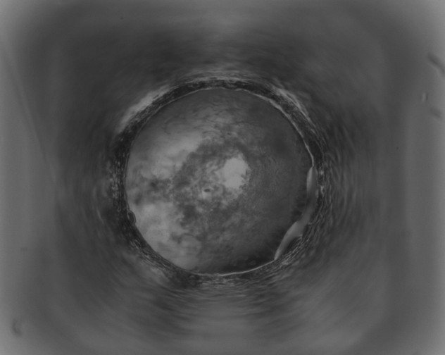 X0000091541159200709071057