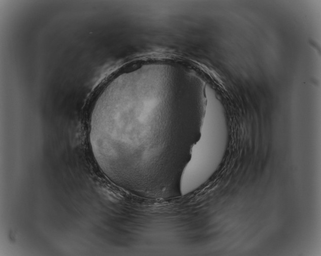 X0000091541160200709071057