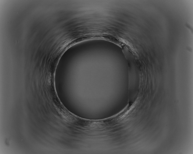 X0000091541161200709071057