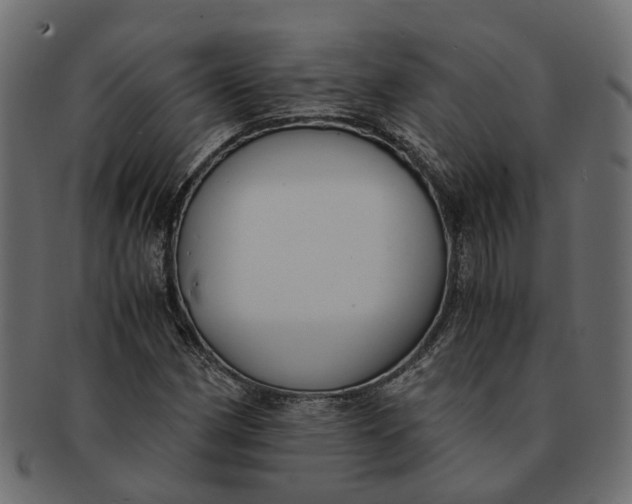 X0000091541162200709071057