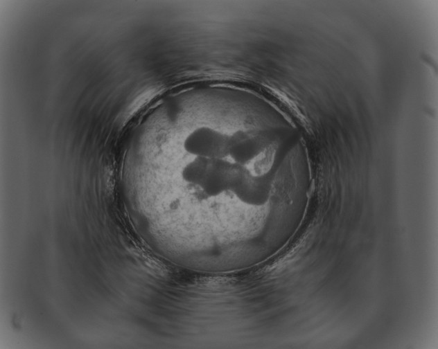 X0000091541163200709071057