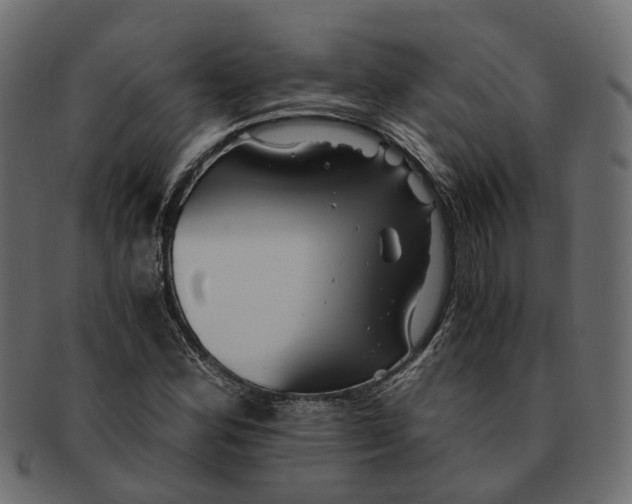 X0000091541164200709071057