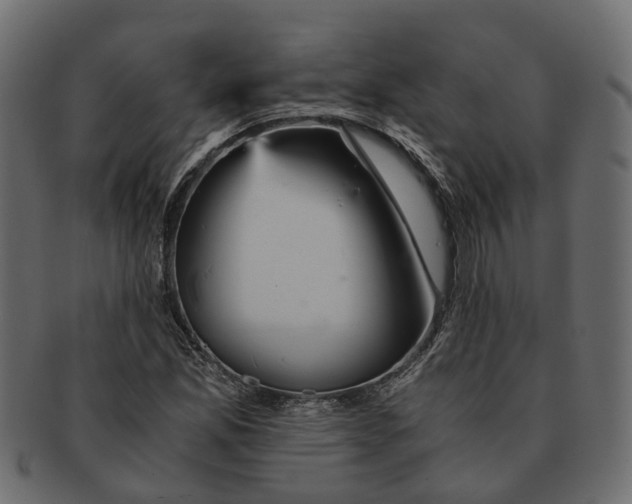 X0000091541165200709071057