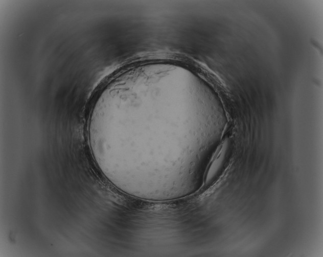 X0000091541166200709071057