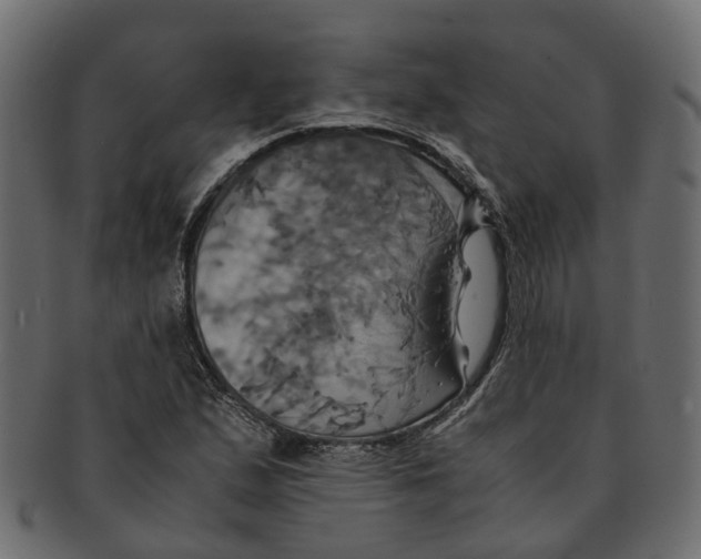 X0000091541167200709071057