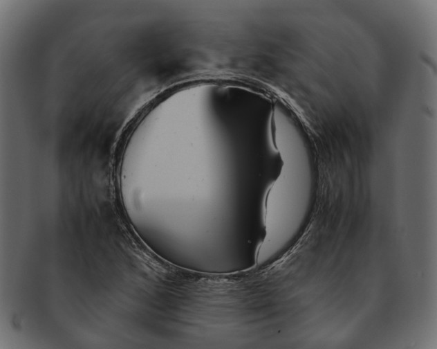 X0000091541168200709071057