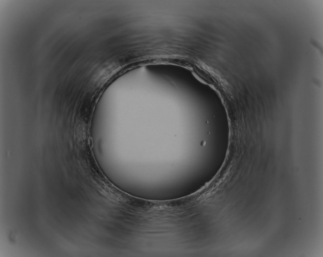 X0000091541169200709071057