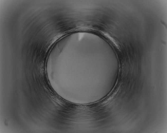 X0000091541170200709071057