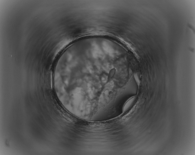 X0000091541171200709071057