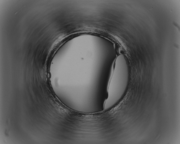 X0000091541172200709071057