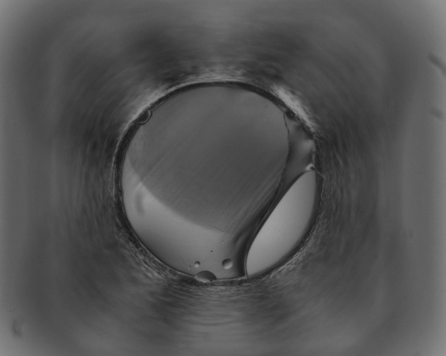 X0000091541173200709071057