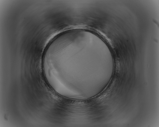 X0000091541174200709071057