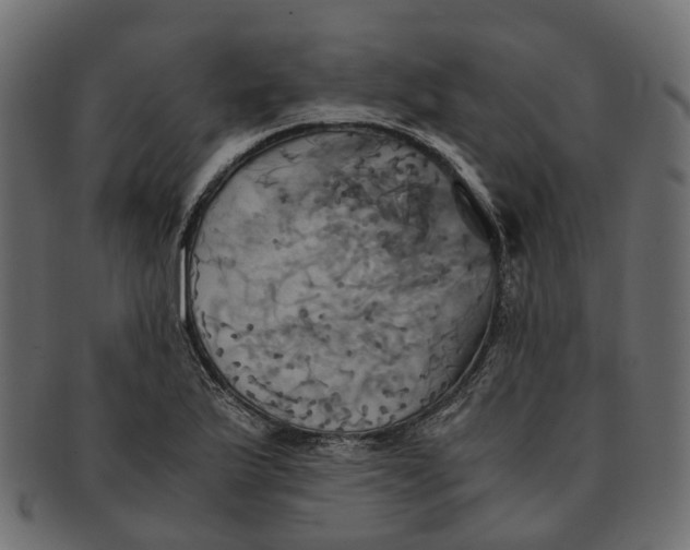 X0000091541175200709071057