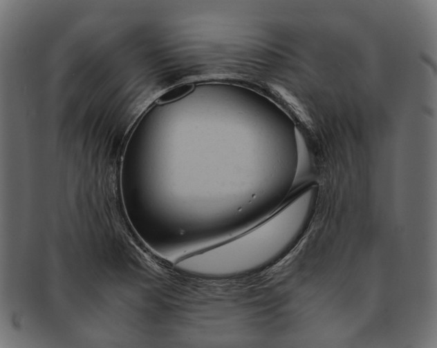 X0000091541177200709071057