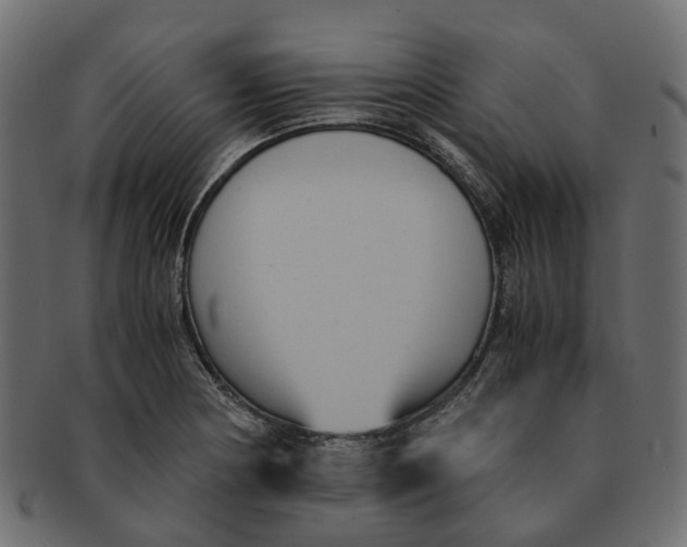 X0000091541178200709071057