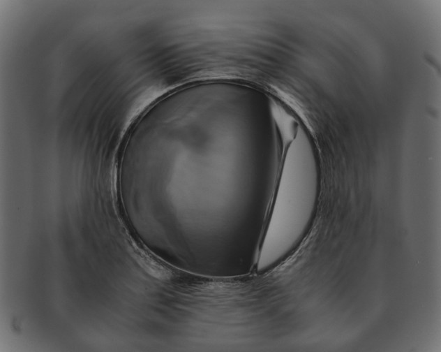 X0000091541179200709071057