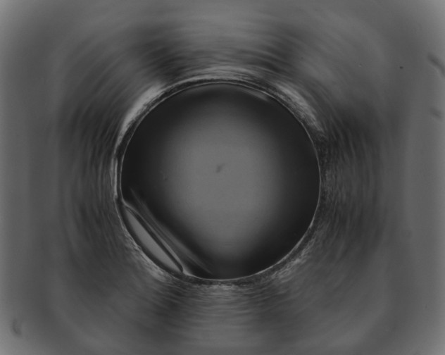 X0000091541180200709071057