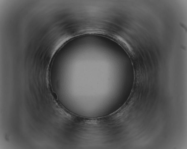 X0000091541182200709071057