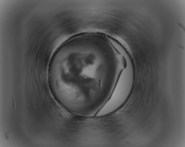 X0000091541183200709071057