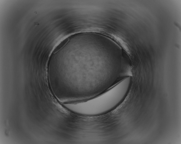 X0000091541184200709071057