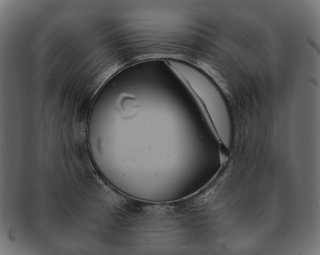 X0000091541185200709071057