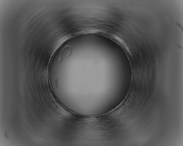 X0000091541186200709071057