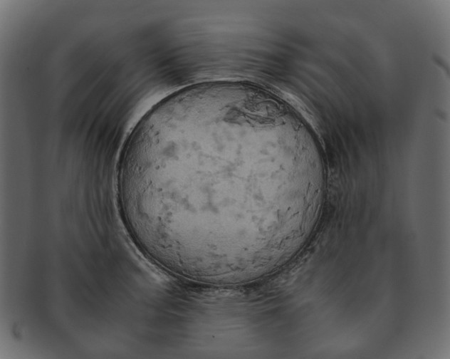 X0000091541187200709071057