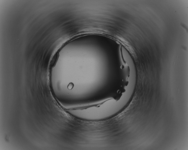 X0000091541188200709071057