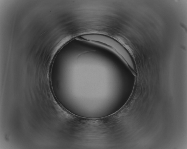 X0000091541189200709071057