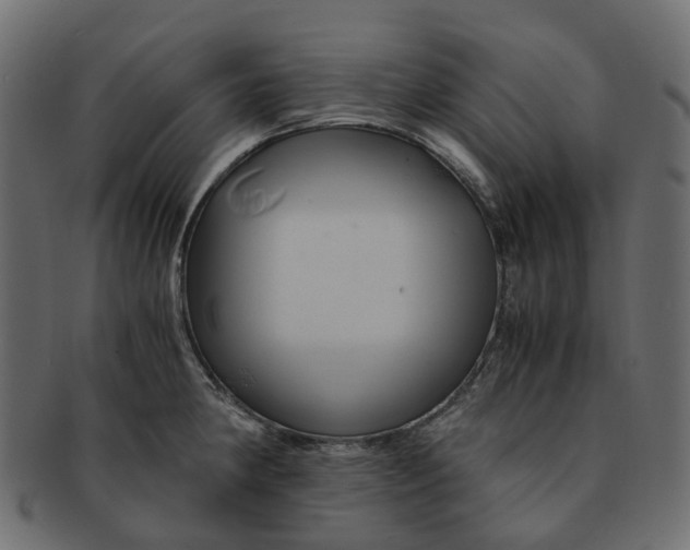 X0000091541190200709071057