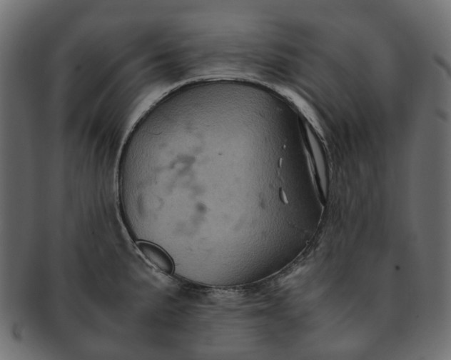 X0000091541191200709071057