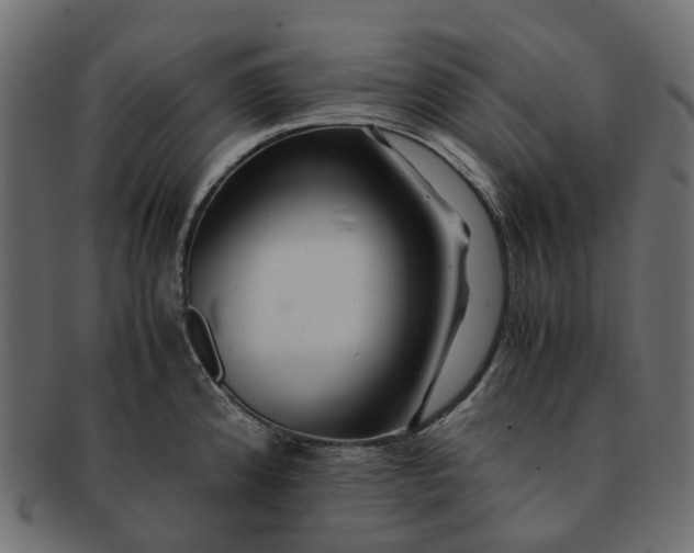 X0000091541192200709071057