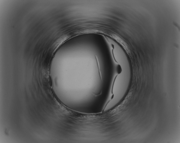 X0000091541193200709071057