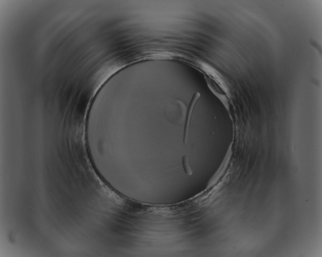 X0000091541194200709071057