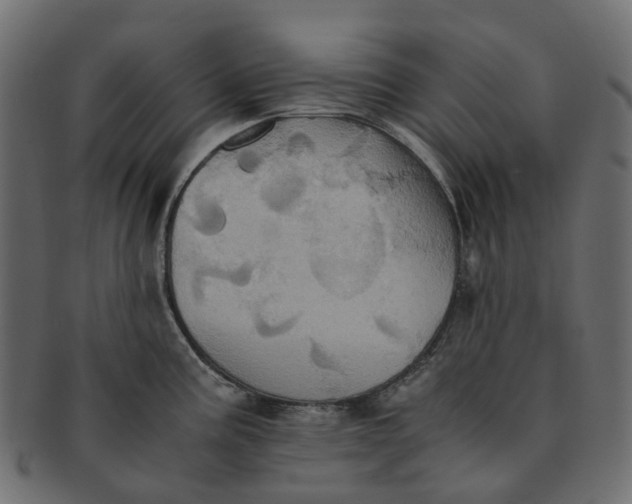 X0000091541195200709071057