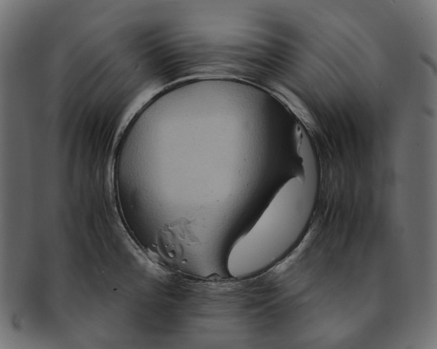 X0000091541196200709071057