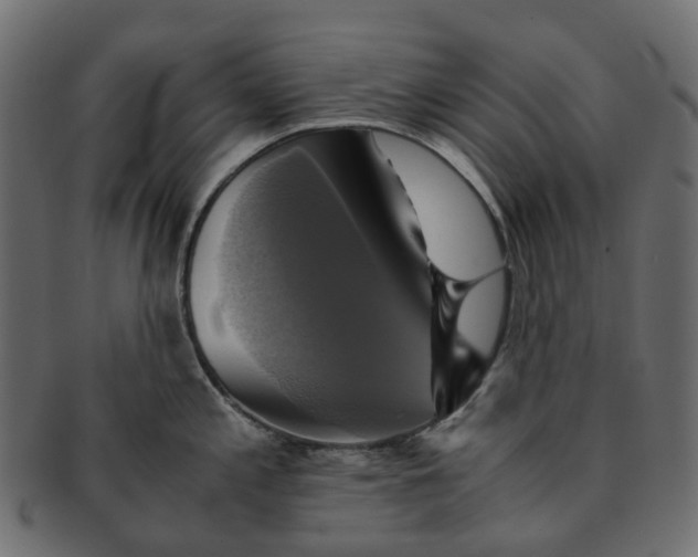 X0000091541197200709071057