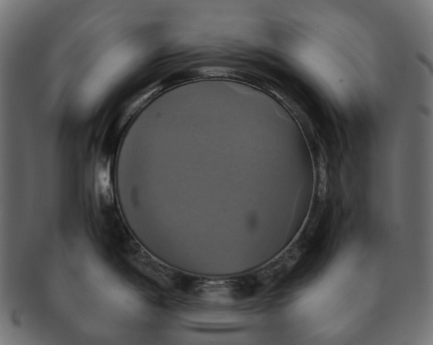 X0000091541198200709071057