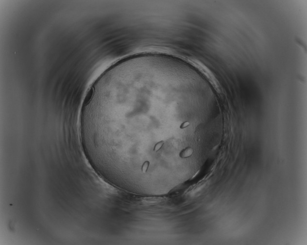 X0000091541199200709071057