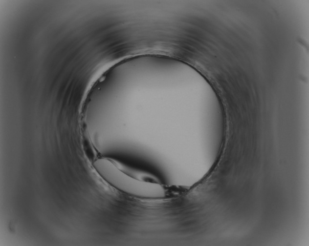 X0000091541200200709071057