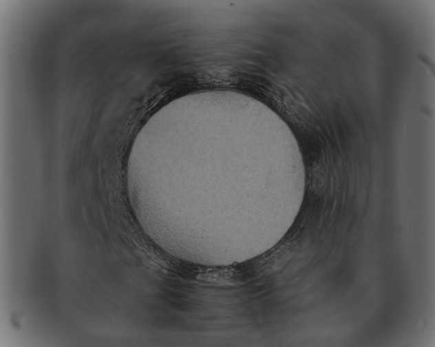 X0000091541201200709071056