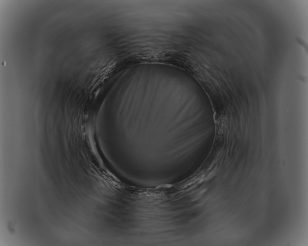 X0000091541202200709071056