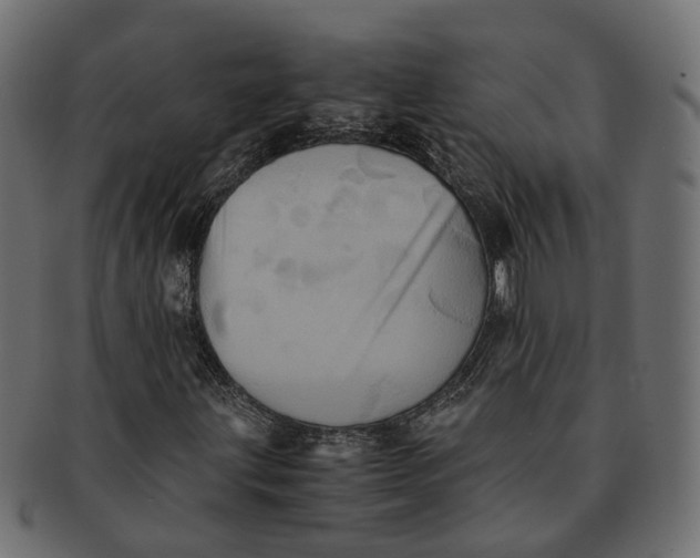 X0000091541203200709071056