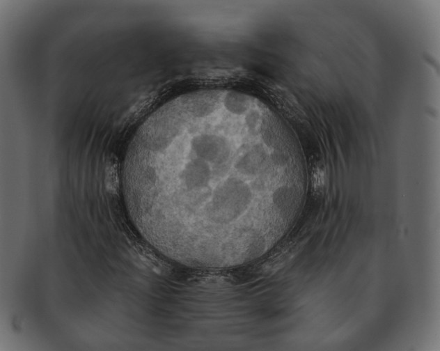 X0000091541204200709071056