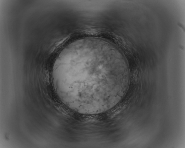 X0000091541205200709071056