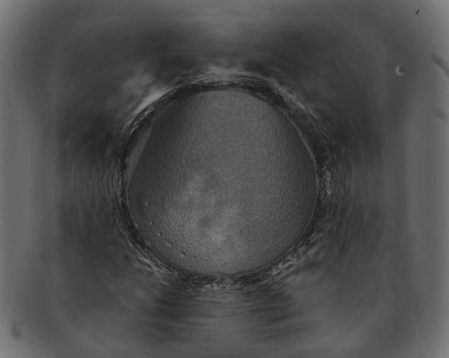 X0000091541206200709071056