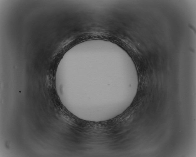 X0000091541207200709071056